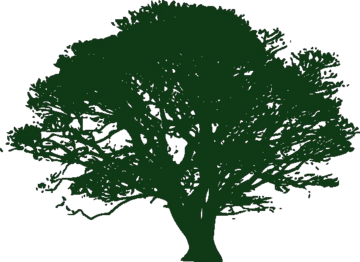 Patricia Kind Family Foundation logo